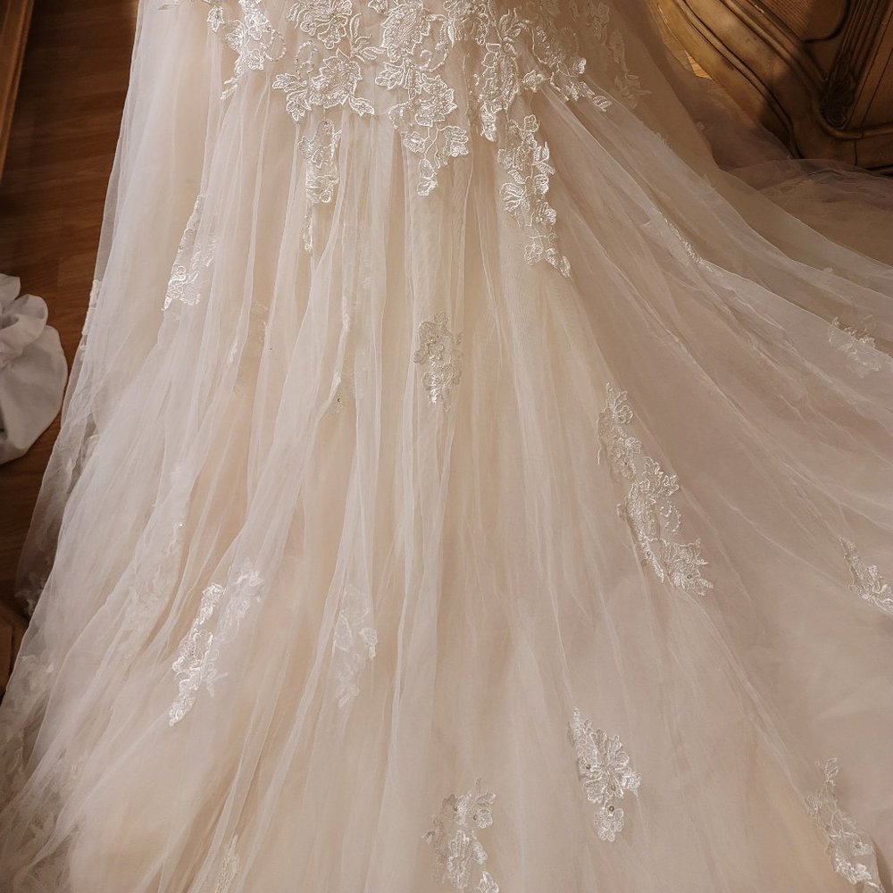 Wedding Dress Size 14 Pink Champagne - Picture 13 of 16